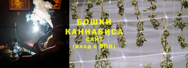 шишки Арсеньев