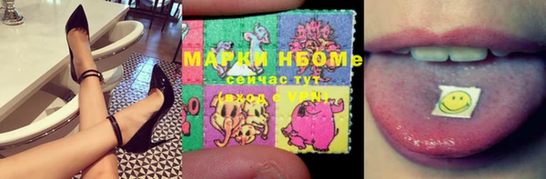 шишки Арсеньев