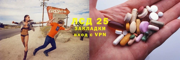шишки Арсеньев