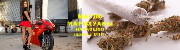 сатива Аркадак
