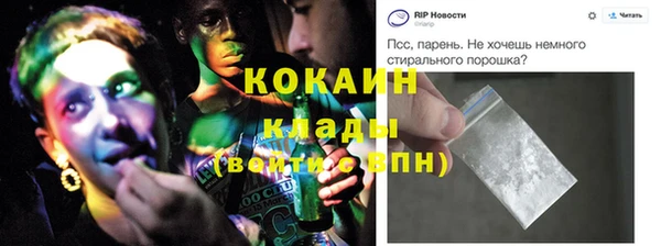 сатива Аркадак
