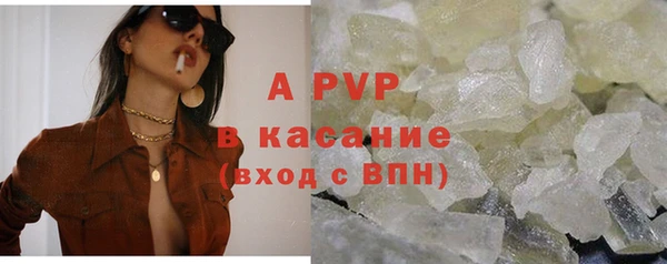 сатива Аркадак