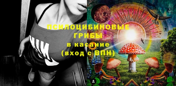 сатива Аркадак