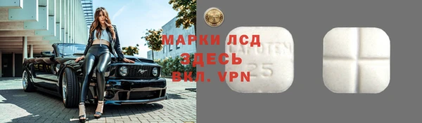 сатива Аркадак