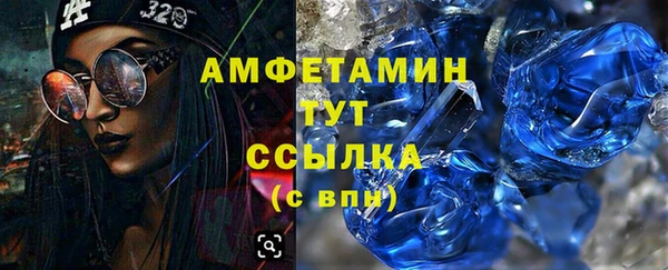 сатива Аркадак