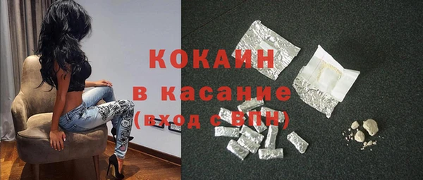 шишки Арсеньев