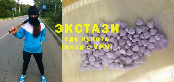 шишки Арсеньев