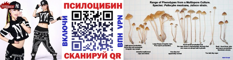 Псилоцибиновые грибы Cubensis  Купить закладки  Мезень 