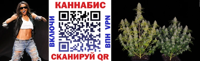 Конопля OG Kush  Купить закладки  Мезень 